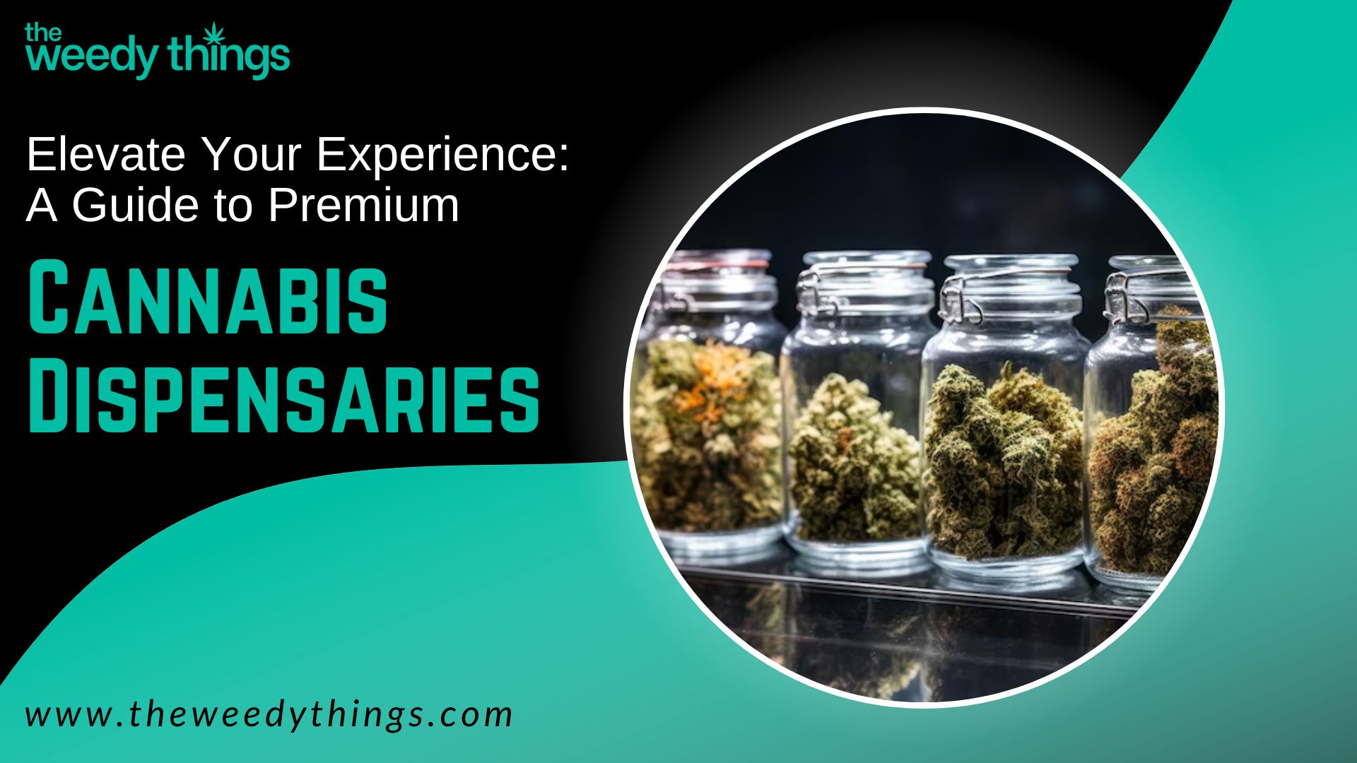 cannabis dispensaries