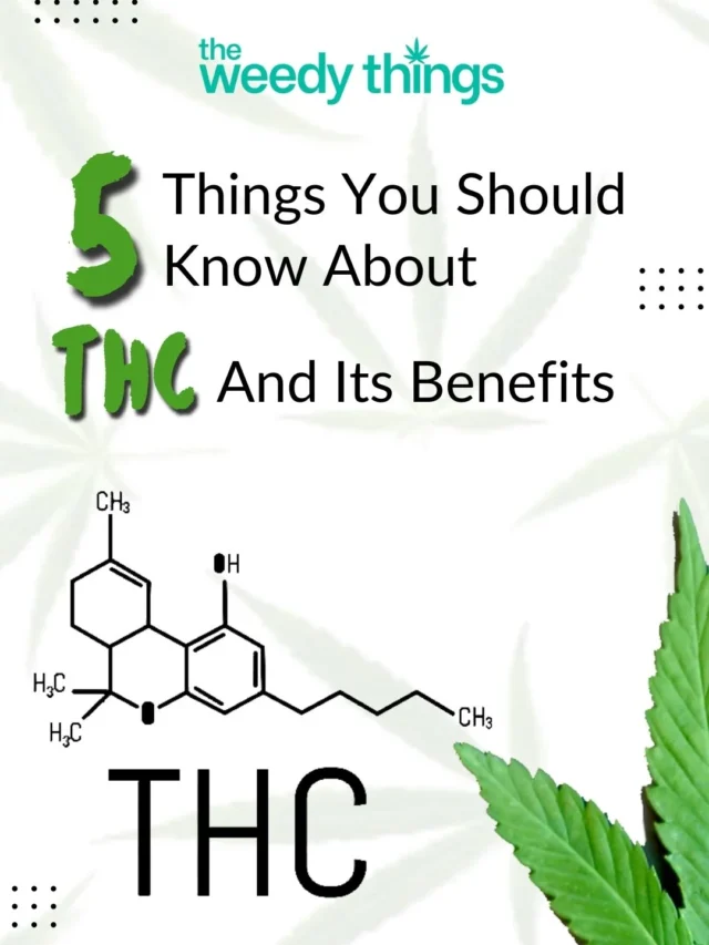 5 Things You Should Know About THC And Its Benefits