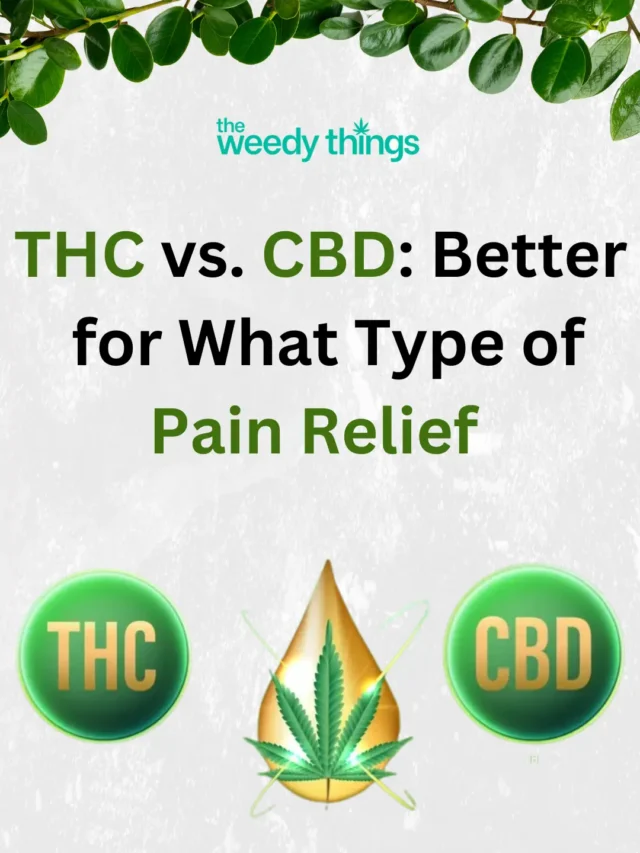 THC vs. CBD Better for What Type of Pain Relief
