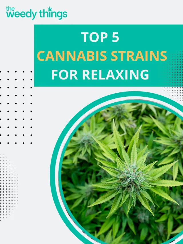 Top 5 Cannabis Strains for Relaxing