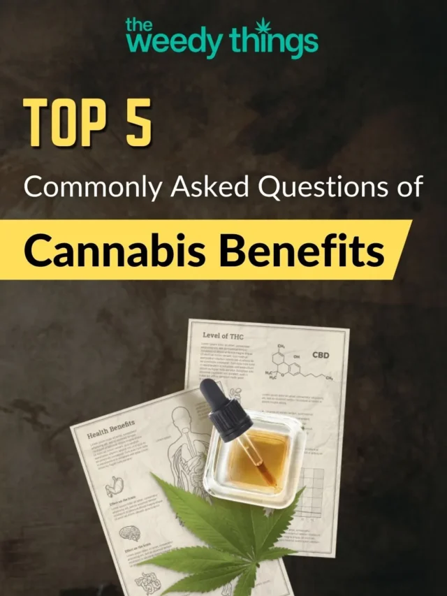 Top 5 Commonly Asked Questions of Cannabis Benefits