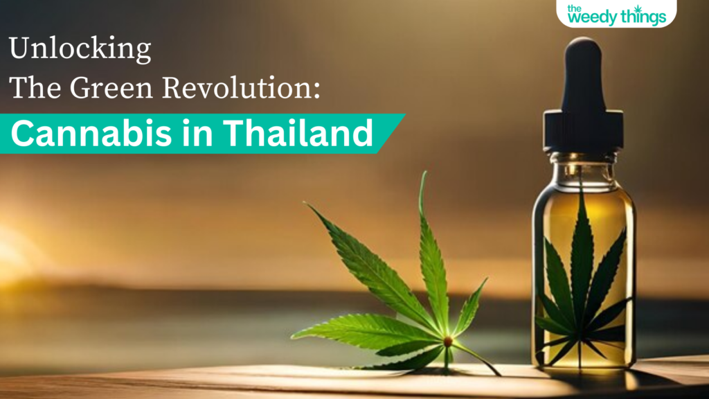 unlocking the green revolution Cannabis in thailand