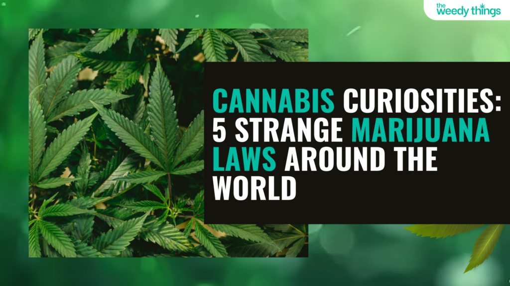cannabis curiosties