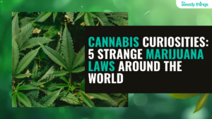 cannabis curiosties