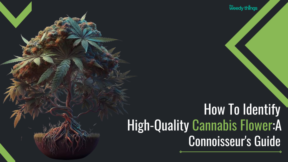 Moldy Weed vs Trichomes: An In-Depth Guide to Cannabis Quality