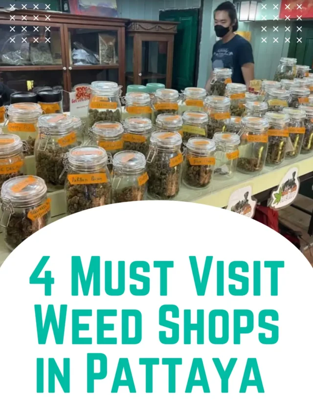 4 Must Visit Weed Shops in Pattaya