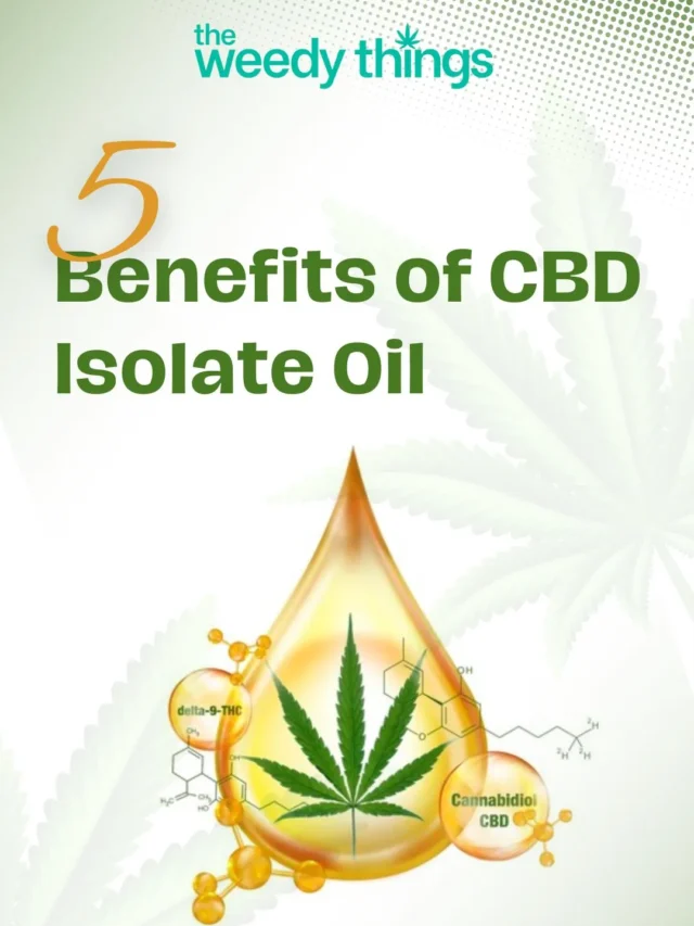 5 Benefits of CBD Isolate Oil