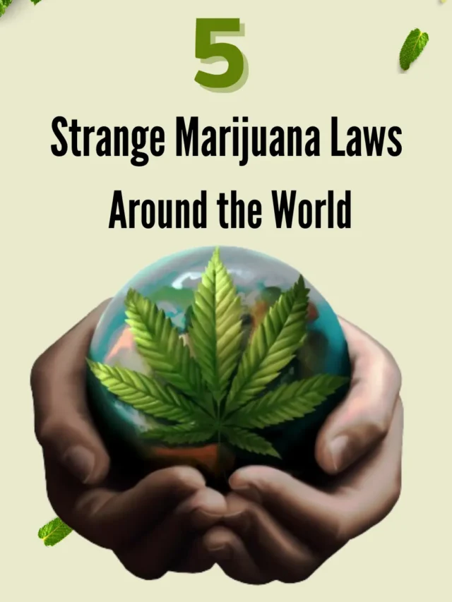 5 Strange Marijuana Laws Around the World