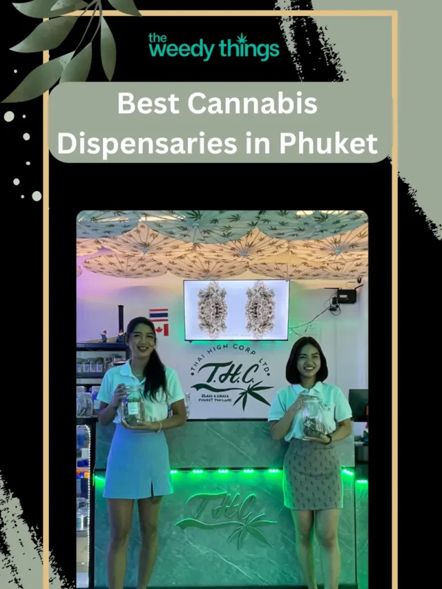 Best Cannabis Dispensaries in Phuket