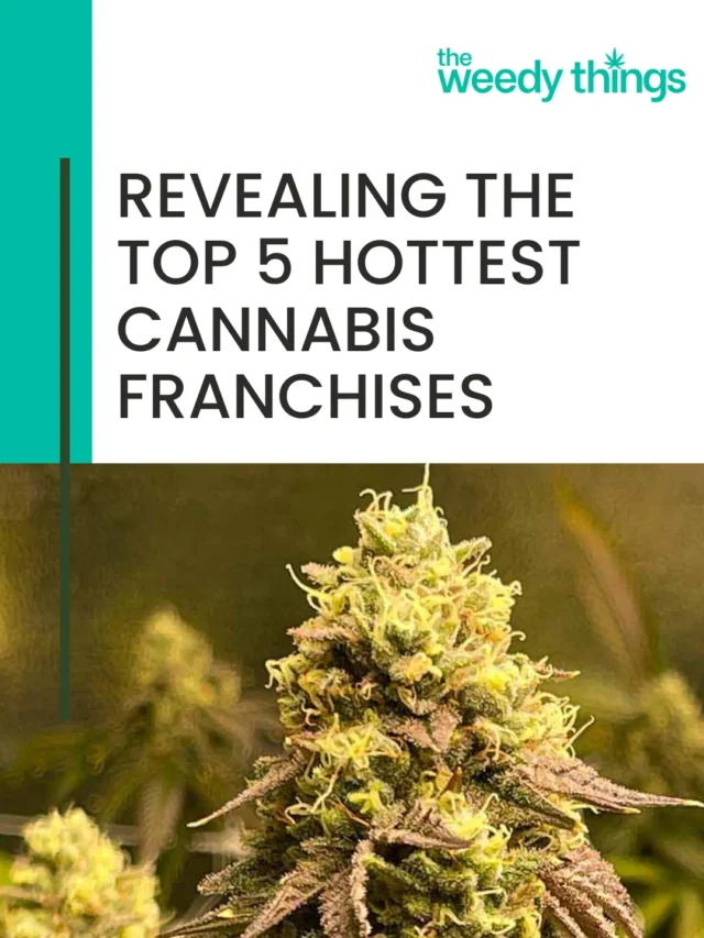 Revealing the Top 5 Hottest Cannabis Franchises