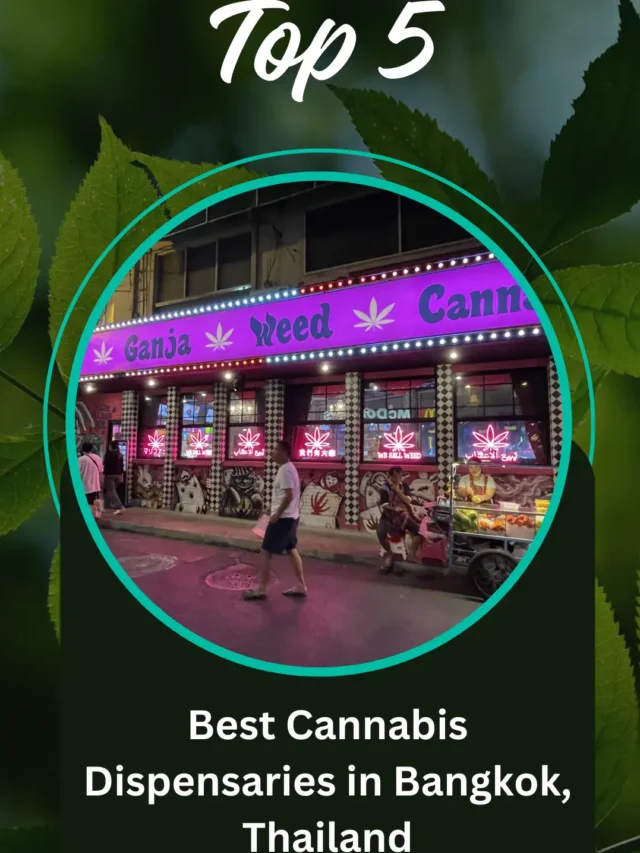 Top 5 Best Cannabis Dispensaries in Bangkok, Thailand