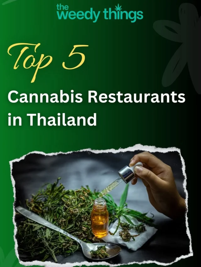 Top 5 Cannabis Restaurants in Thailand