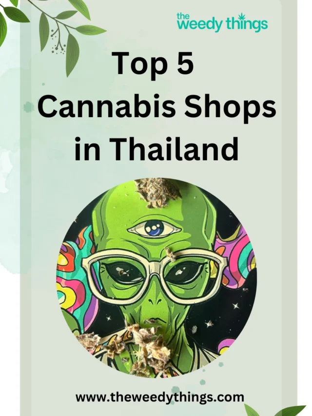 Top 5 Cannabis Shops in Thailand