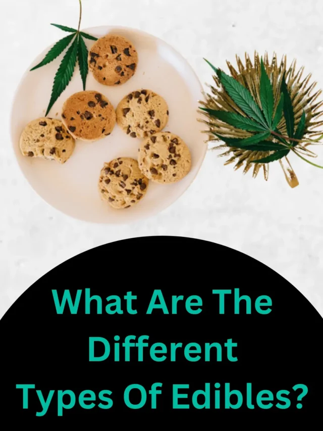 What Are The Different Types Of Edibles