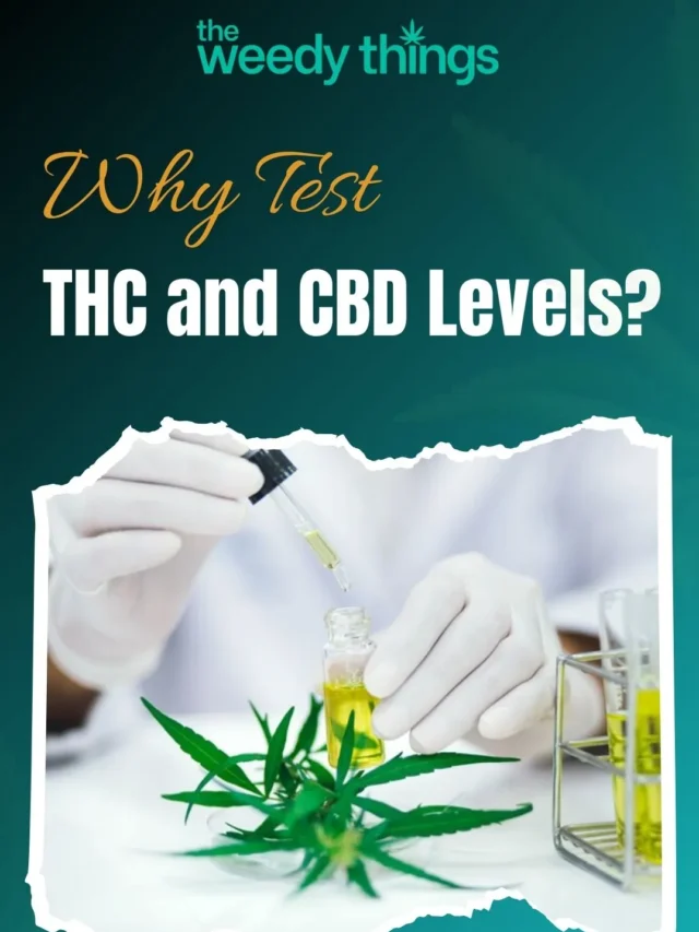 Why Test THC and CBD Levels?