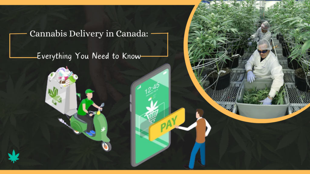 Cannabis Delivery in Canada