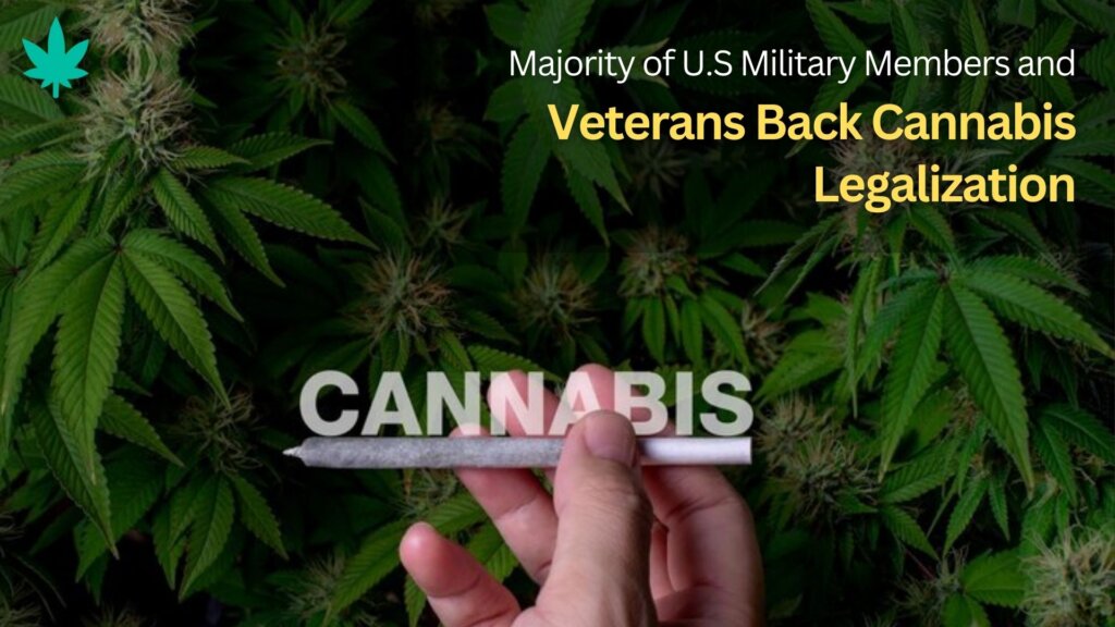 Veterans Back Cannabis Legalization