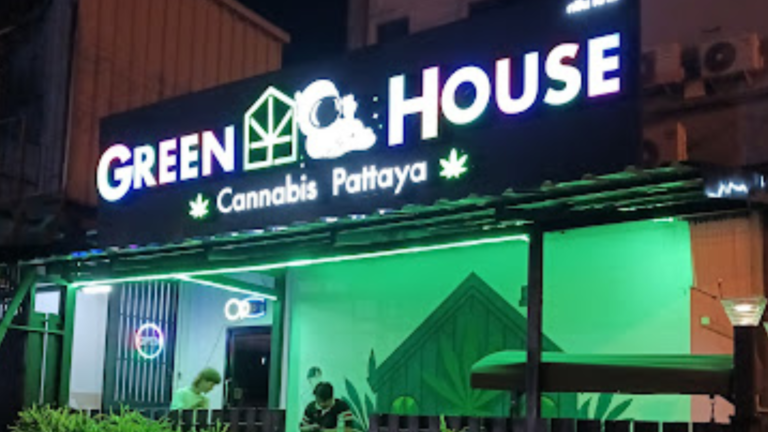 cannabis pattaya