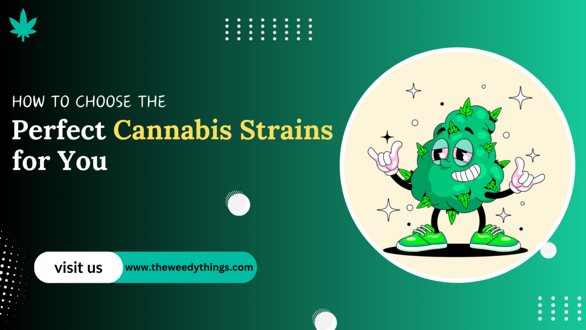 cannabis strains