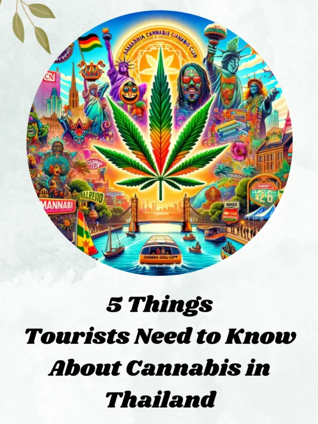 Need to Know About Cannabis in Thailand for Tourists