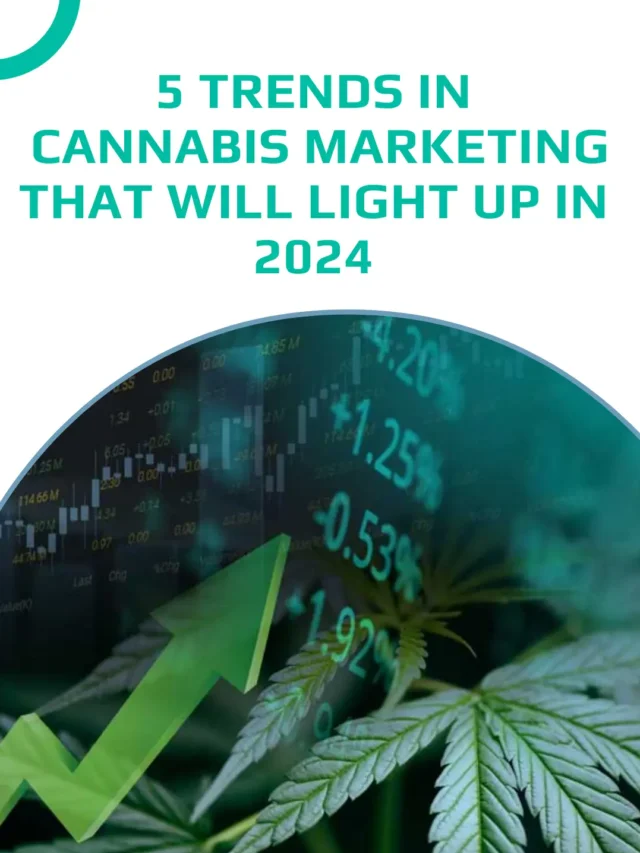 5 trends in cannabis marketing that will light up in 2024