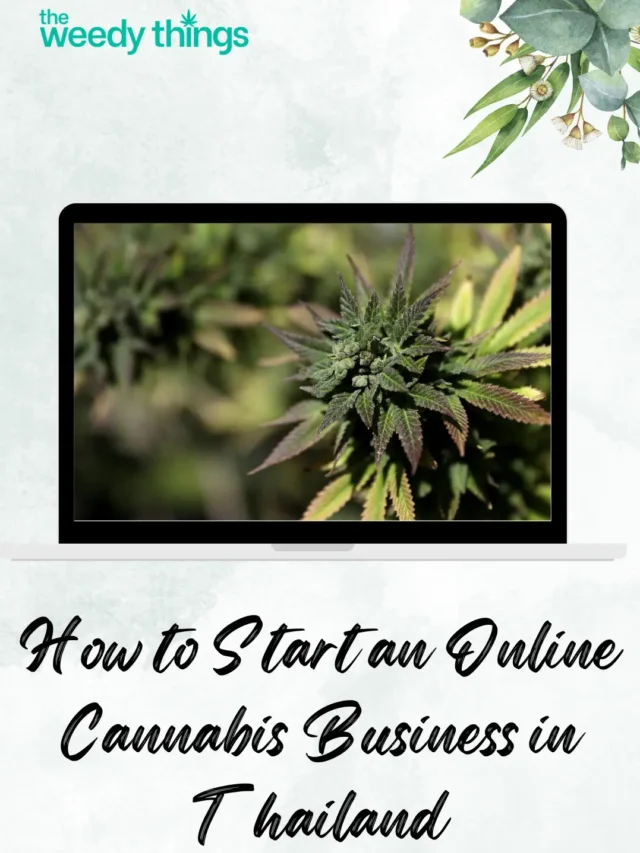 How to Start an Online Cannabis Business in Thailand