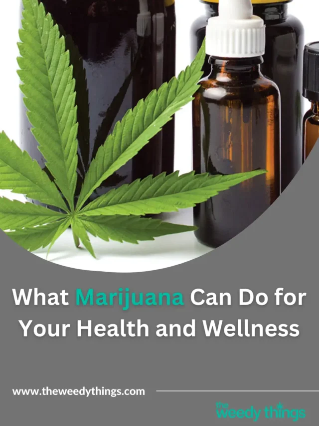 What Marijuana Can Do for Your Health and Wellness