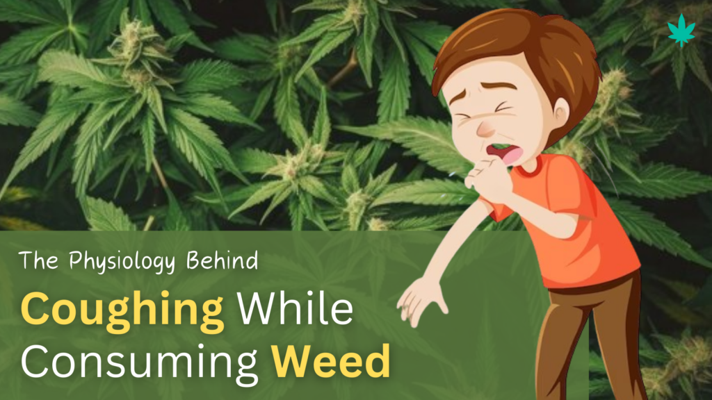 The Physiology Behind Coughing While Consuming Weed (3)