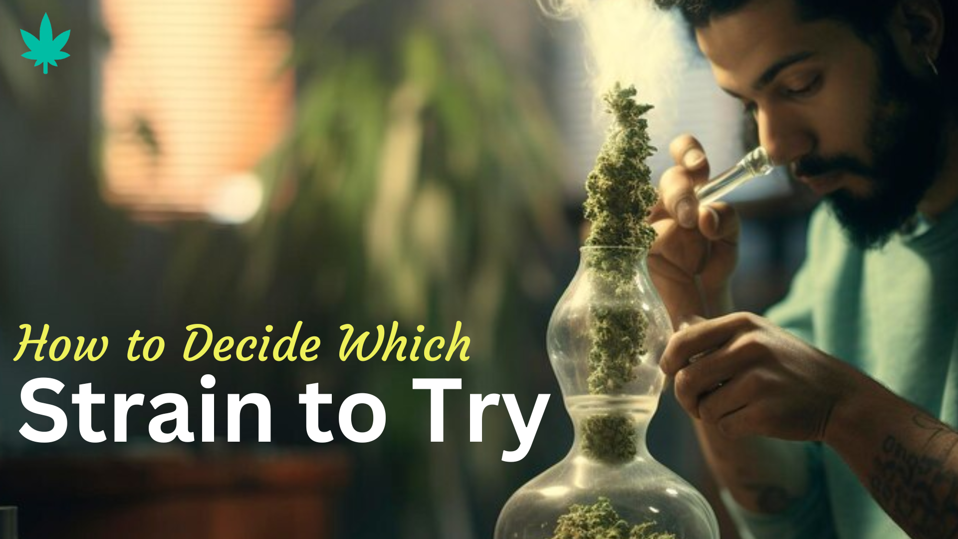 How To Decide Which Strain To Try