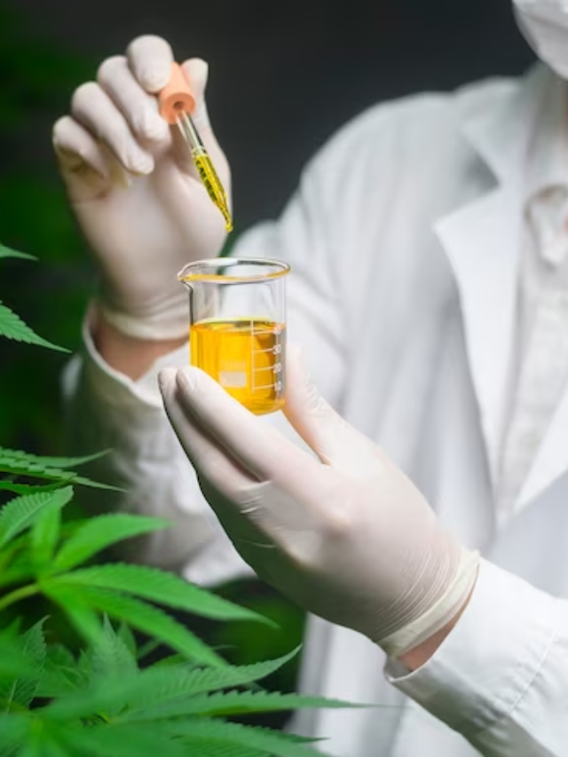 6 Key Moments in the Evolution of Medicinal Cannabis