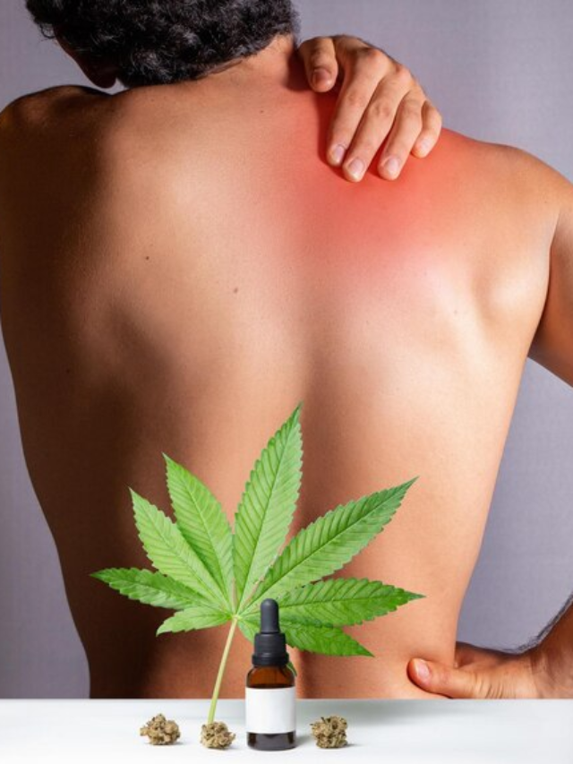 How Weed Eases Back Pain Naturally