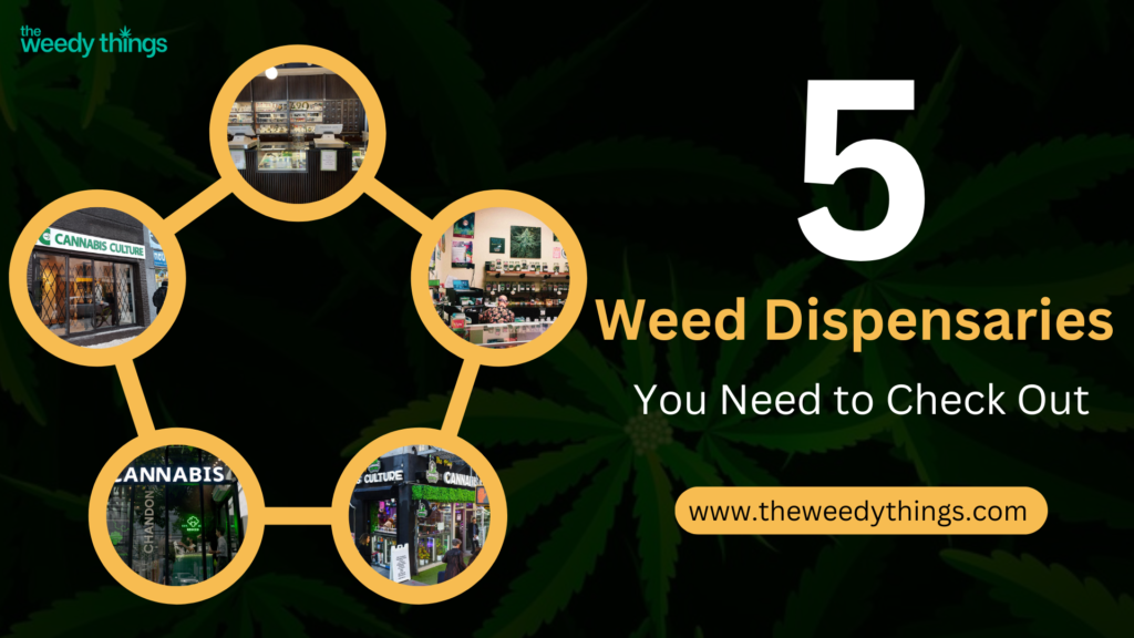 Weed Dispensaries You Need to Check Out